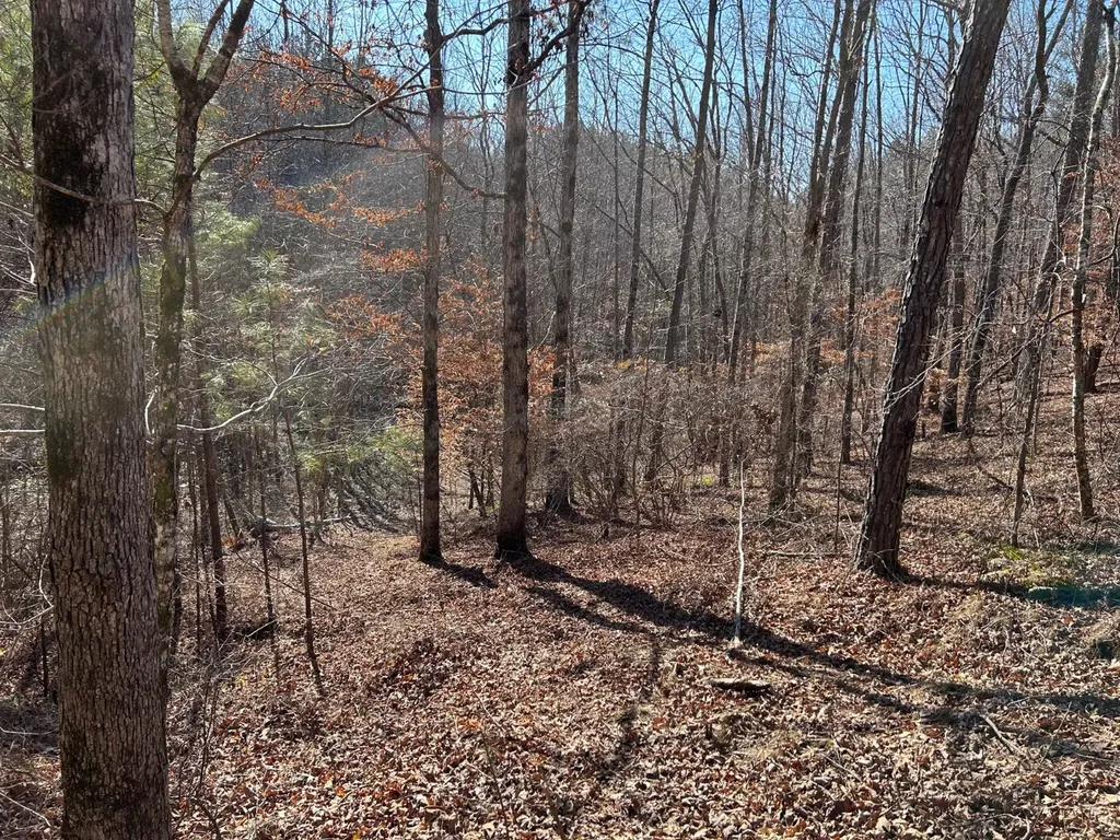 - County Road 325 Hamilton AL 35570