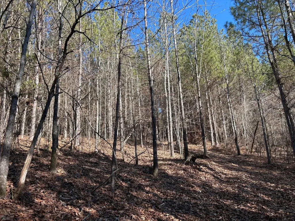 - County Road 325 Hamilton AL 35570