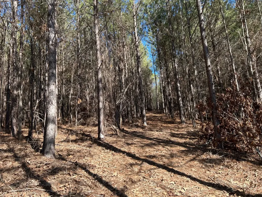 - County Road 325 Hamilton AL 35570