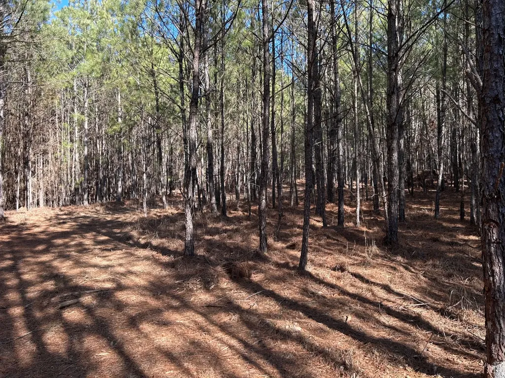 - County Road 325 Hamilton AL 35570