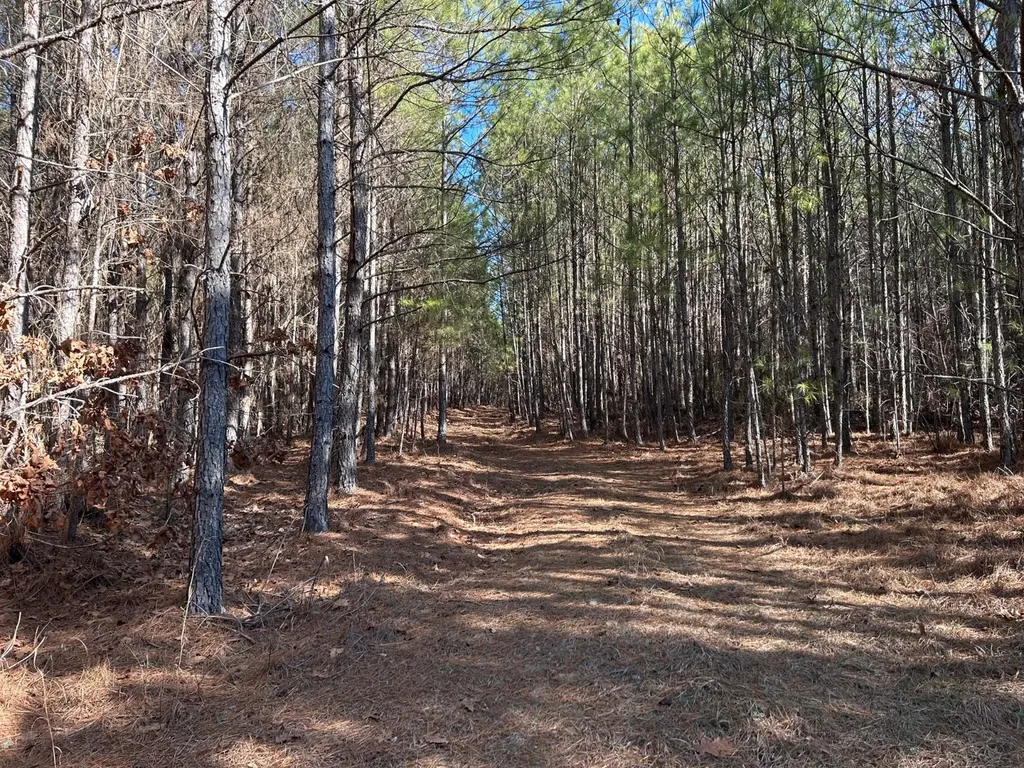 - County Road 325 Hamilton AL 35570