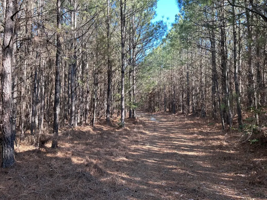 - County Road 325 Hamilton AL 35570