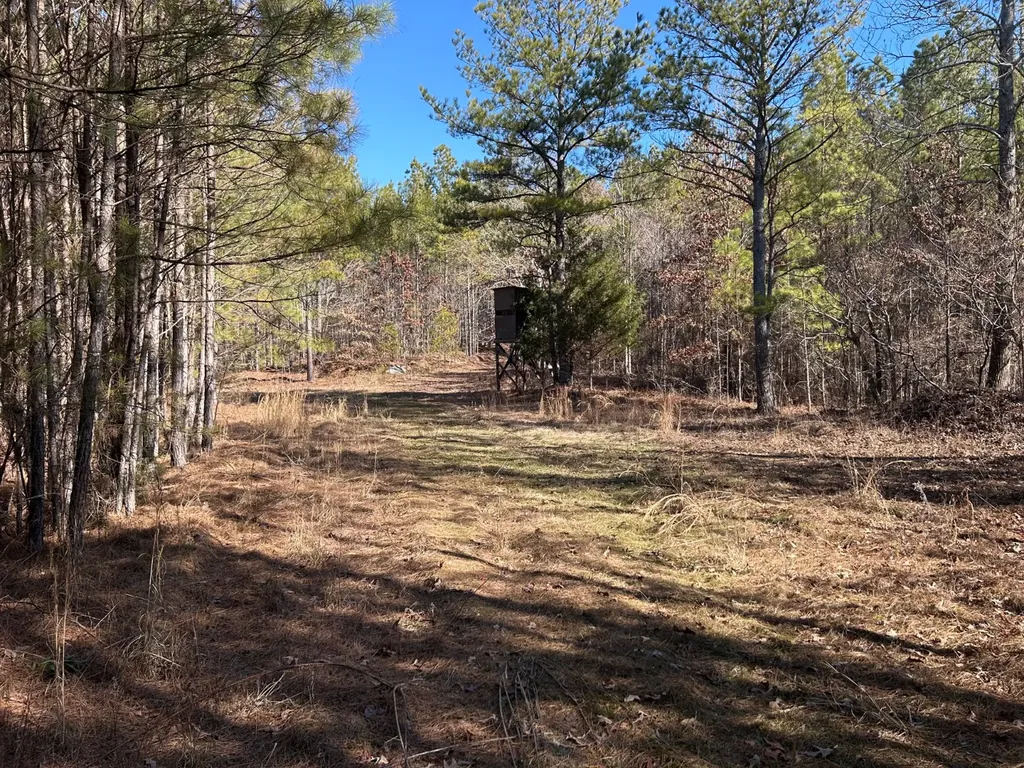 - County Road 325 Hamilton AL 35570