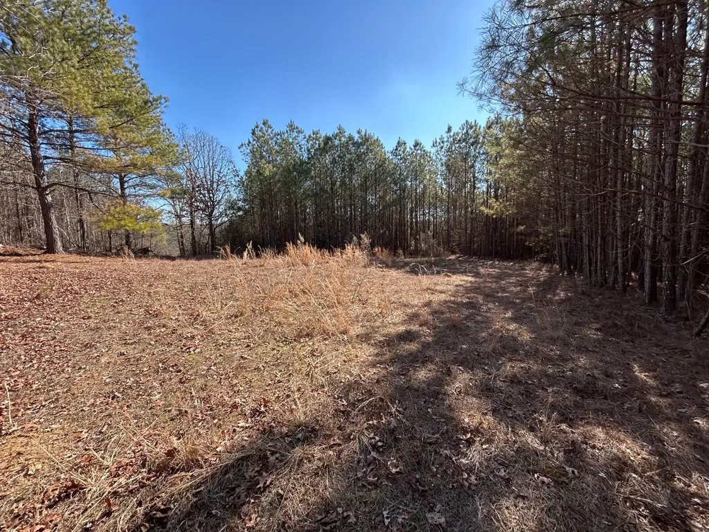 - County Road 325 Hamilton AL 35570