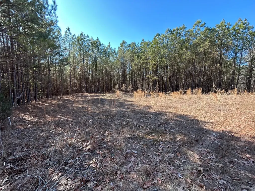 - County Road 325 Hamilton AL 35570