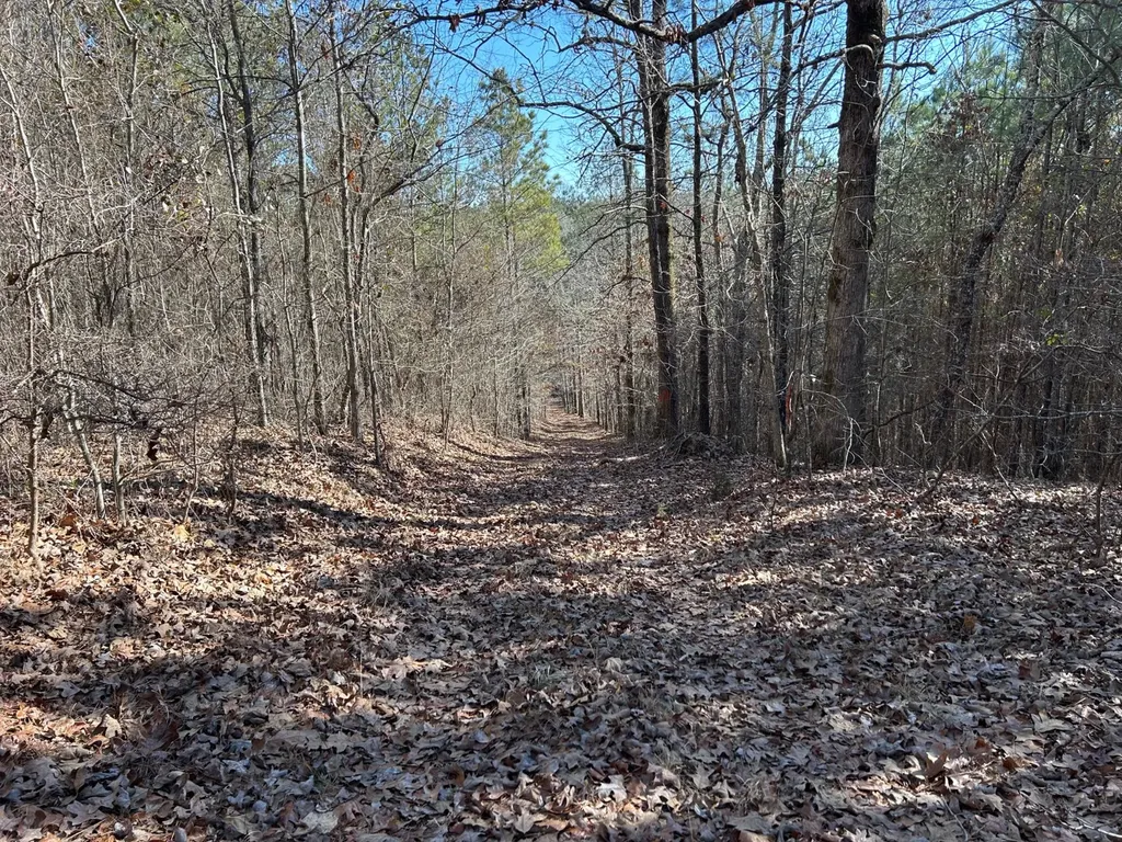 - County Road 325 Hamilton AL 35570