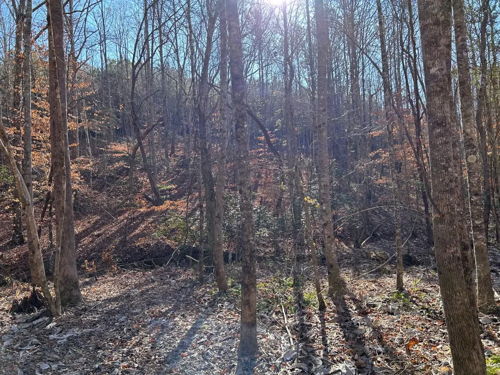 - County Road 325 Hamilton AL 35570