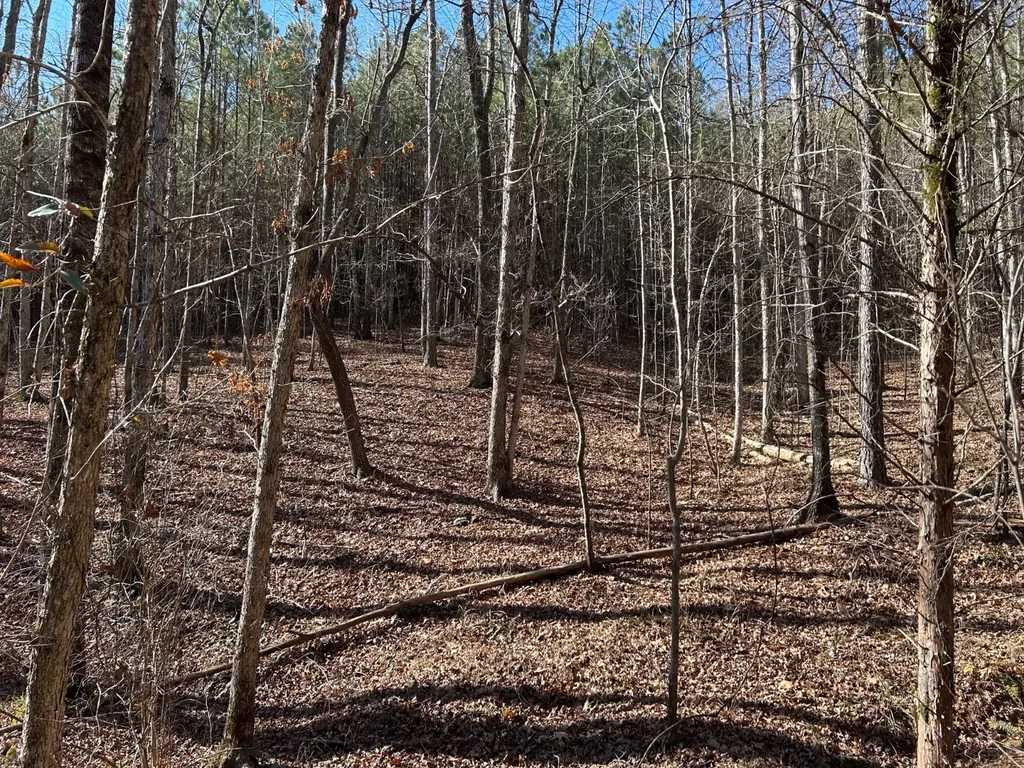 - County Road 325 Hamilton AL 35570