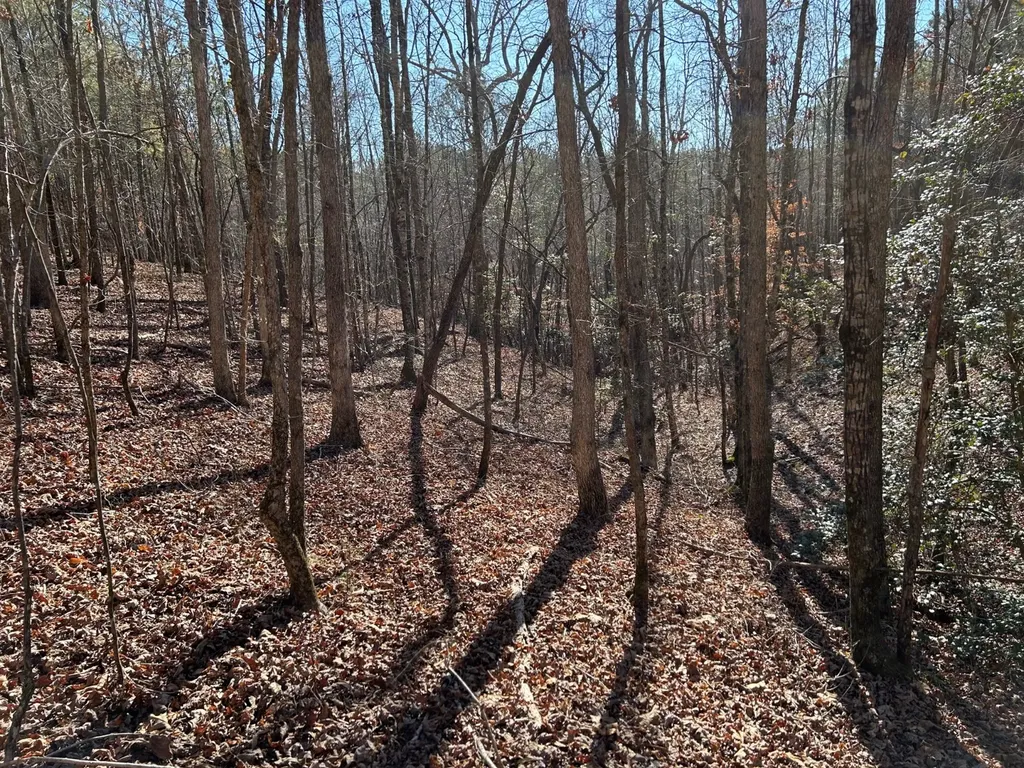 - County Road 325 Hamilton AL 35570