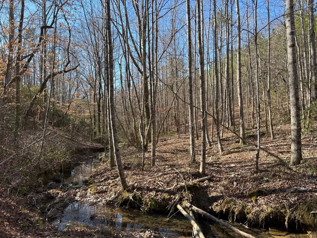 - County Road 325 Hamilton AL 35570