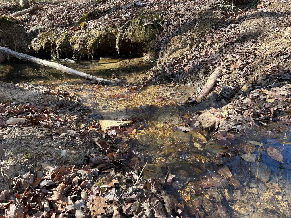 - County Road 325 Hamilton AL 35570