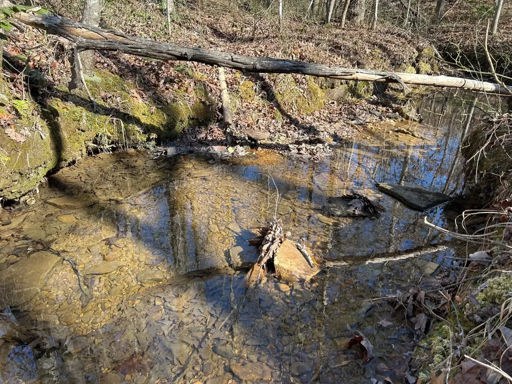 - County Road 325 Hamilton AL 35570