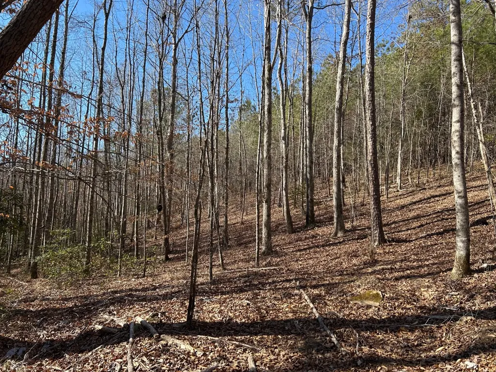 - County Road 325 Hamilton AL 35570