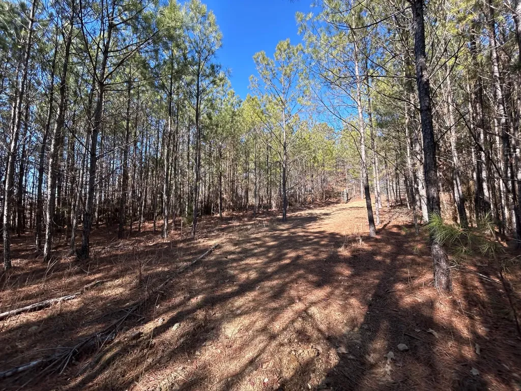 - County Road 325 Hamilton AL 35570