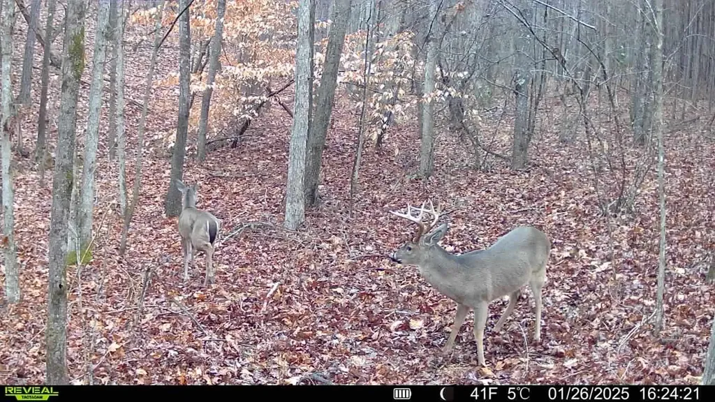 - County Road 325 Hamilton AL 35570