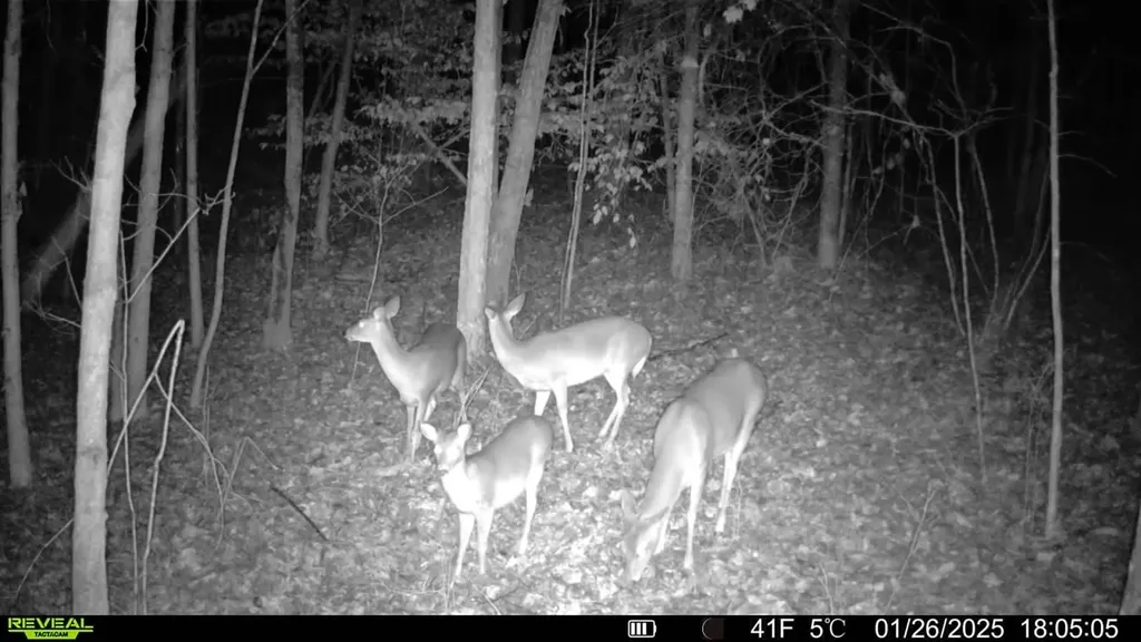 - County Road 325 Hamilton AL 35570