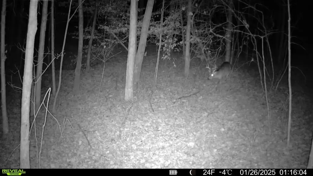 - County Road 325 Hamilton AL 35570