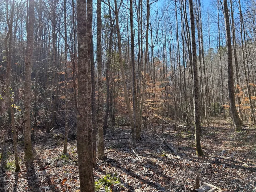 - County Road 325 Hamilton AL 35570