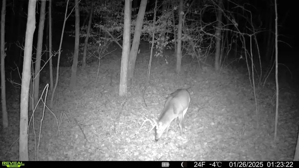 - County Road 325 Hamilton AL 35570