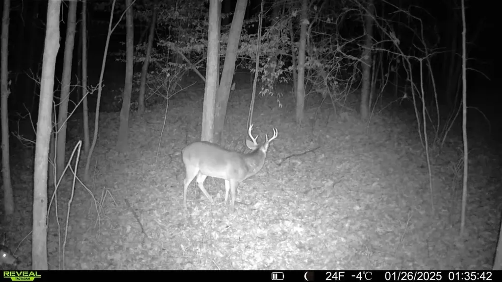 - County Road 325 Hamilton AL 35570