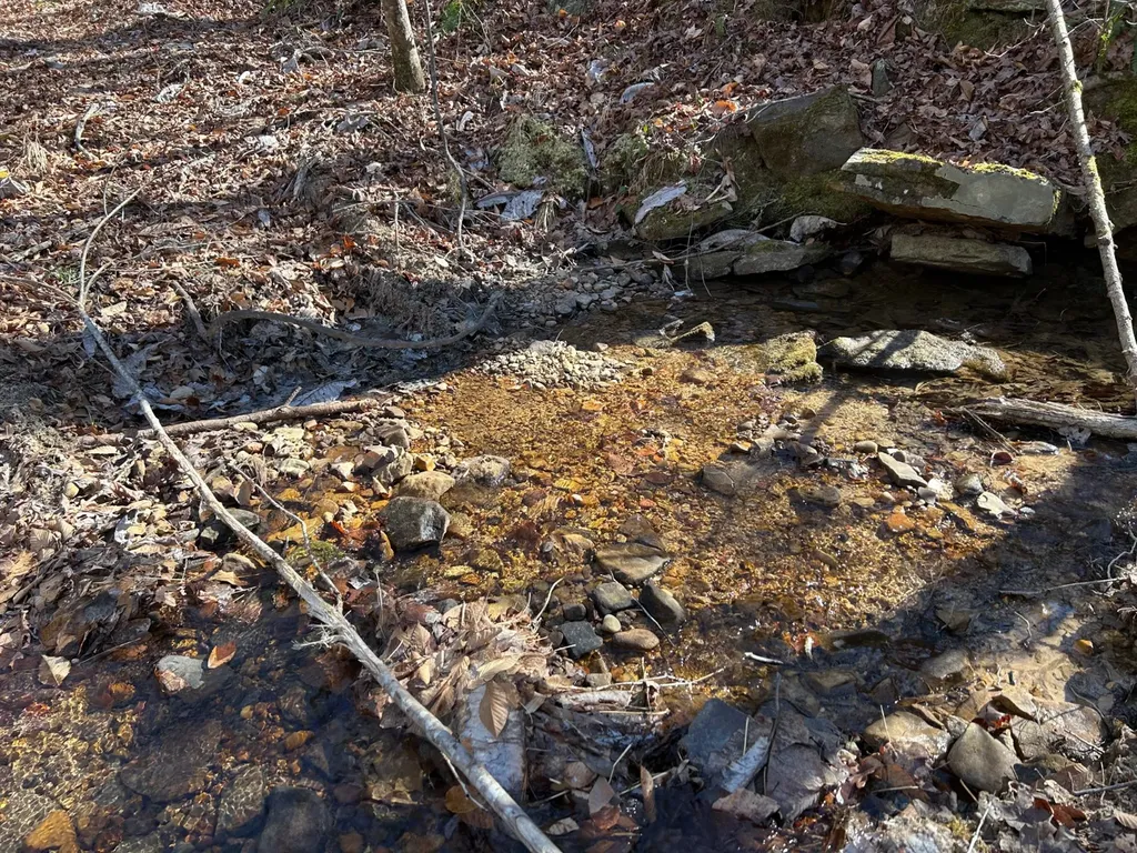 - County Road 325 Hamilton AL 35570