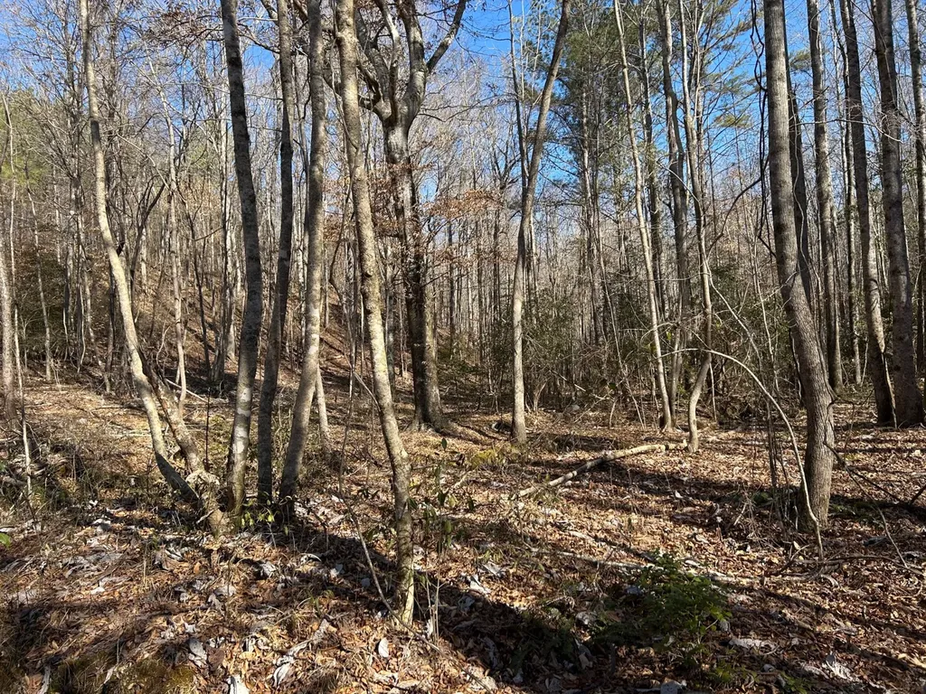 - County Road 325 Hamilton AL 35570