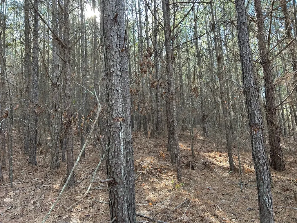 - County Road 325 Hamilton AL 35570