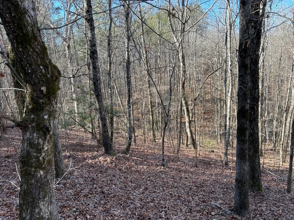 - County Road 325 Hamilton AL 35570