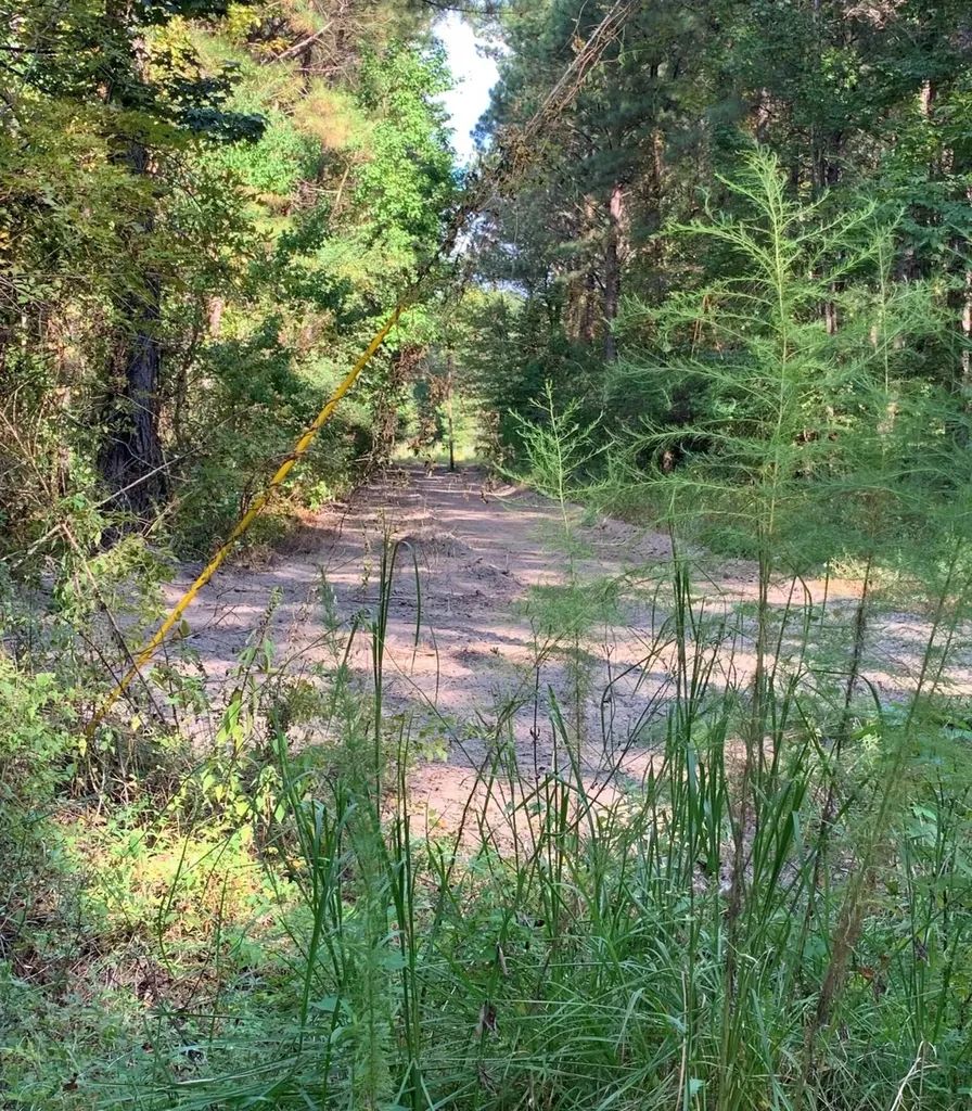 00 Gibbs Road Pike Road AL 36064