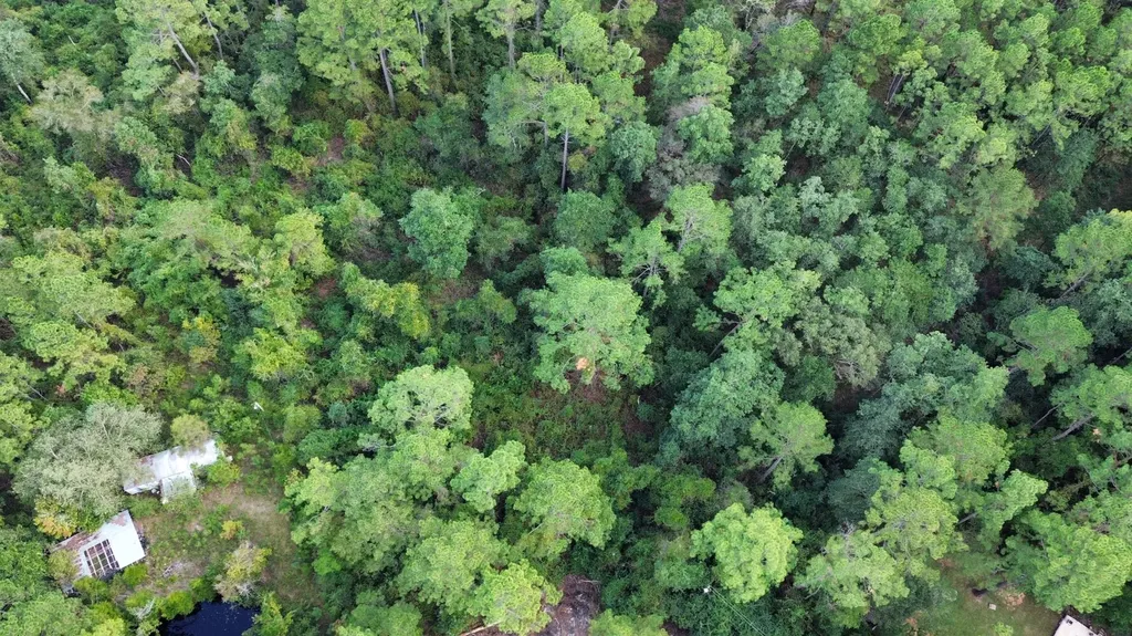 0 Amison Lane Summerdale AL 36580