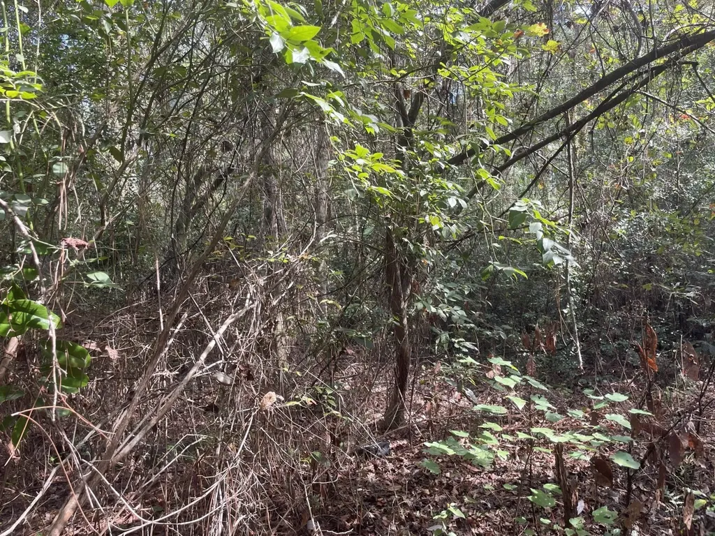 0 Amison Lane Summerdale AL 36580