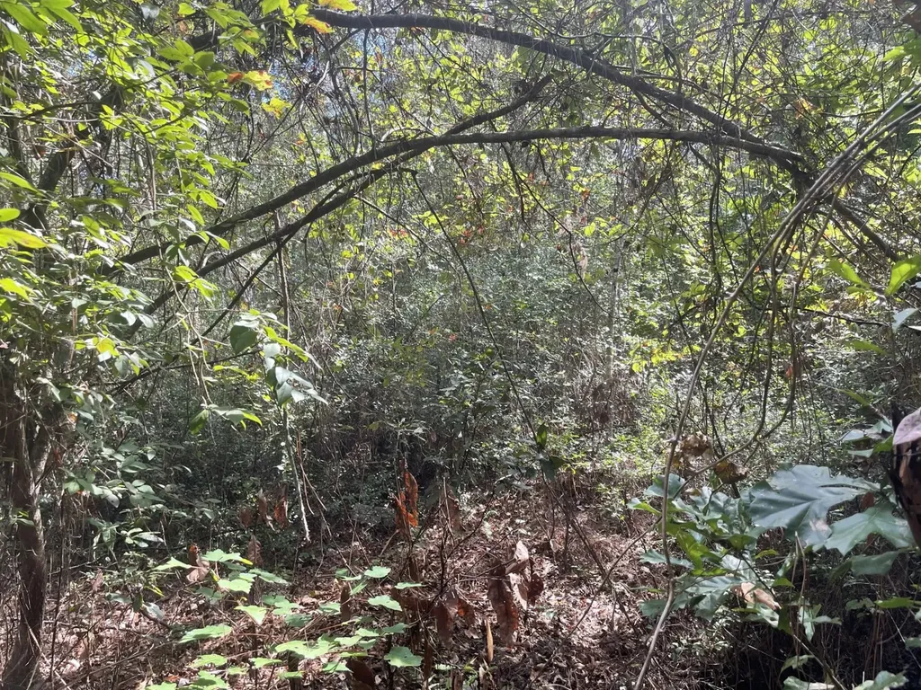 0 Amison Lane Summerdale AL 36580