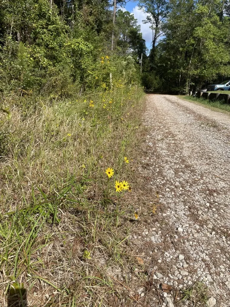 0 Amison Lane Summerdale AL 36580