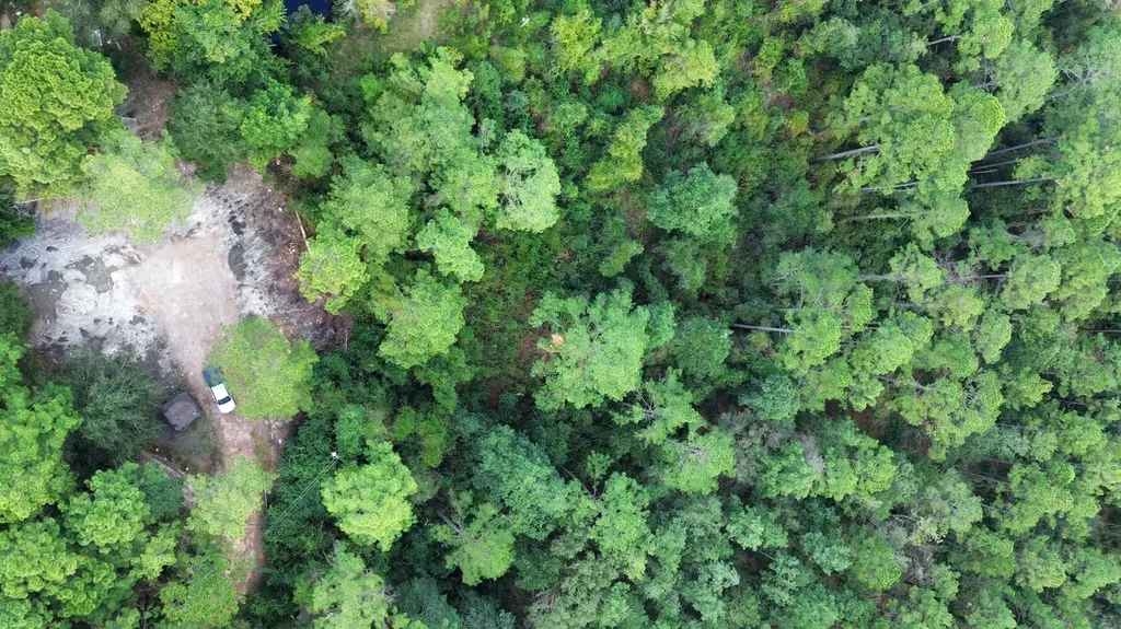 0 Amison Lane Summerdale AL 36580