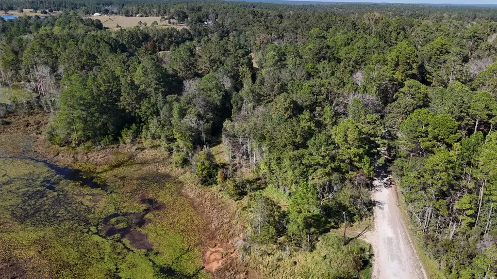 15570 Beaver Dam Road Citronelle AL 36522