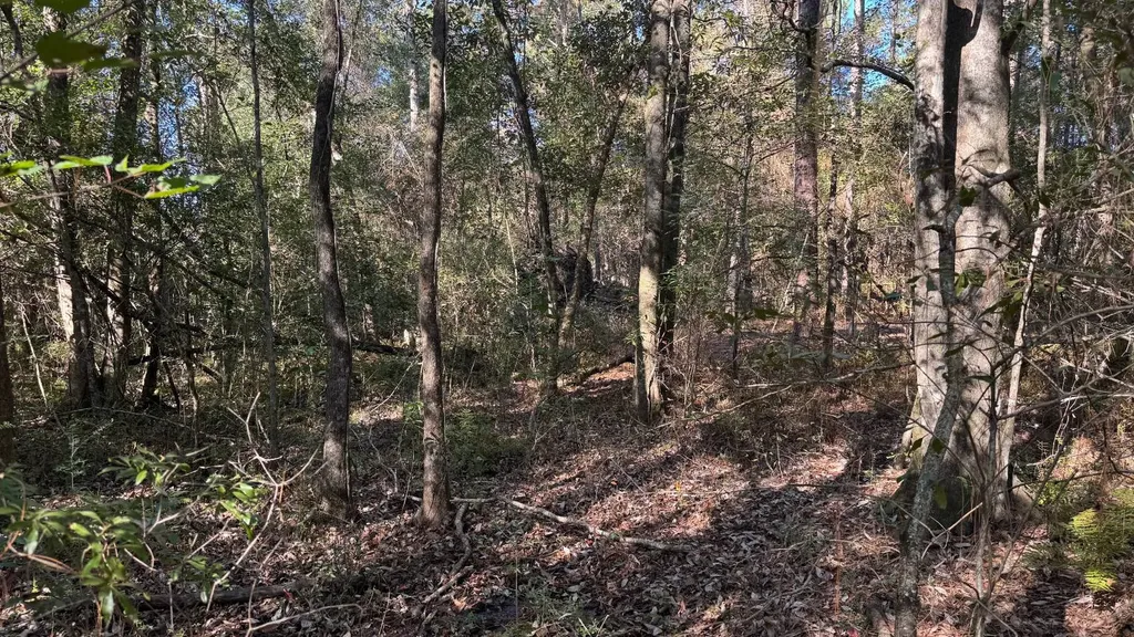 15570 Beaver Dam Road Citronelle AL 36522