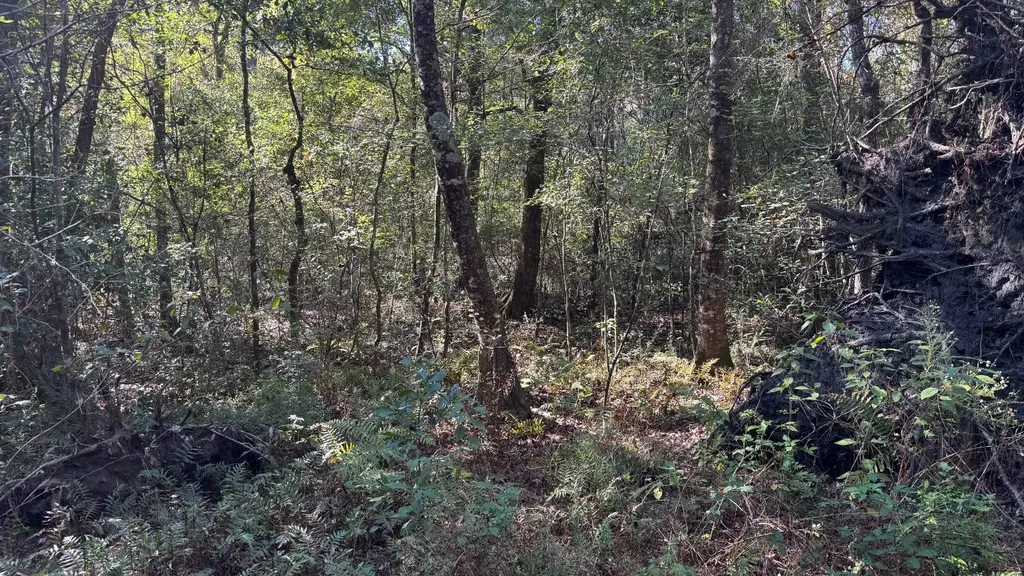 15570 Beaver Dam Road Citronelle AL 36522