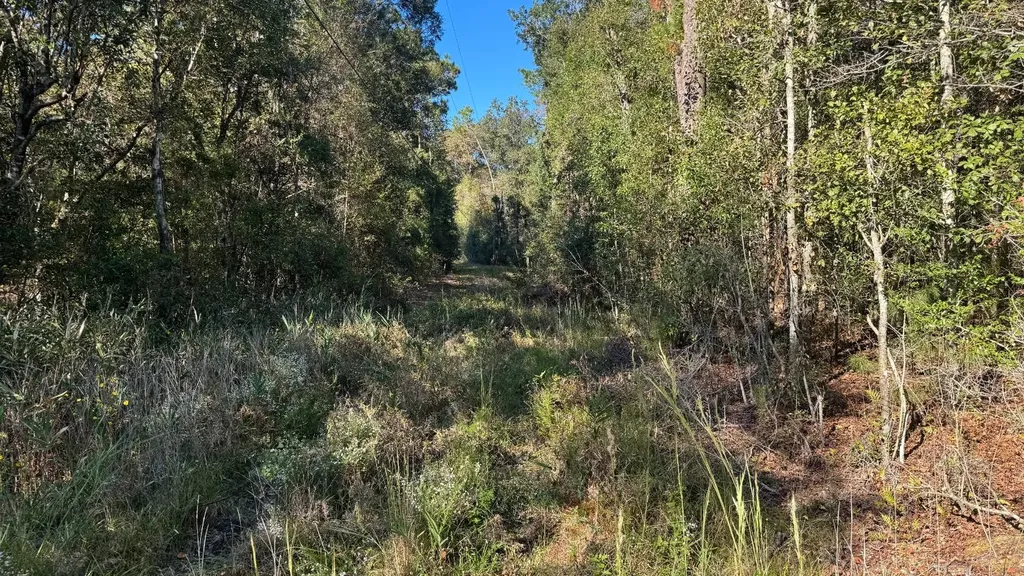 15570 Beaver Dam Road Citronelle AL 36522