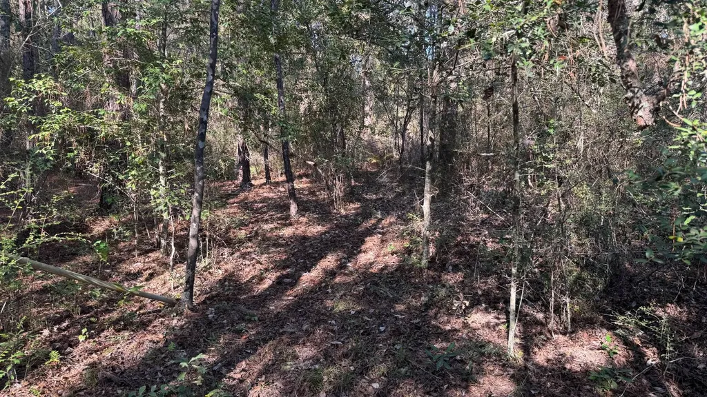 15570 Beaver Dam Road Citronelle AL 36522