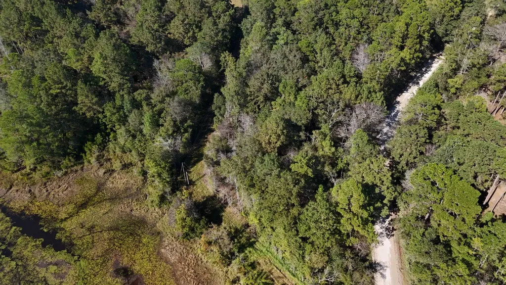 15570 Beaver Dam Road Citronelle AL 36522