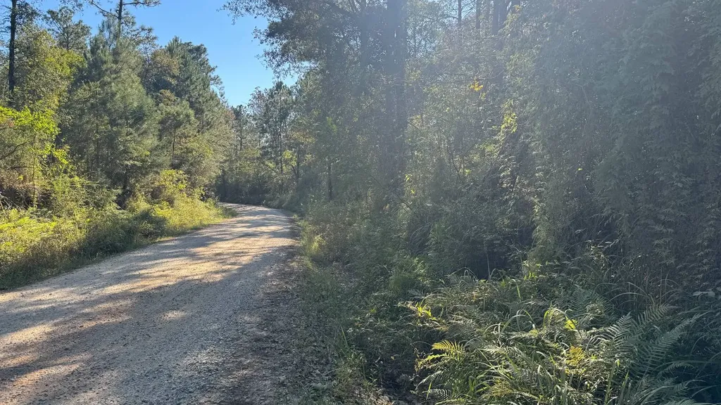 15570 Beaver Dam Road Citronelle AL 36522