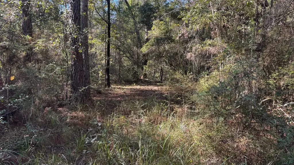 15570 Beaver Dam Road Citronelle AL 36522