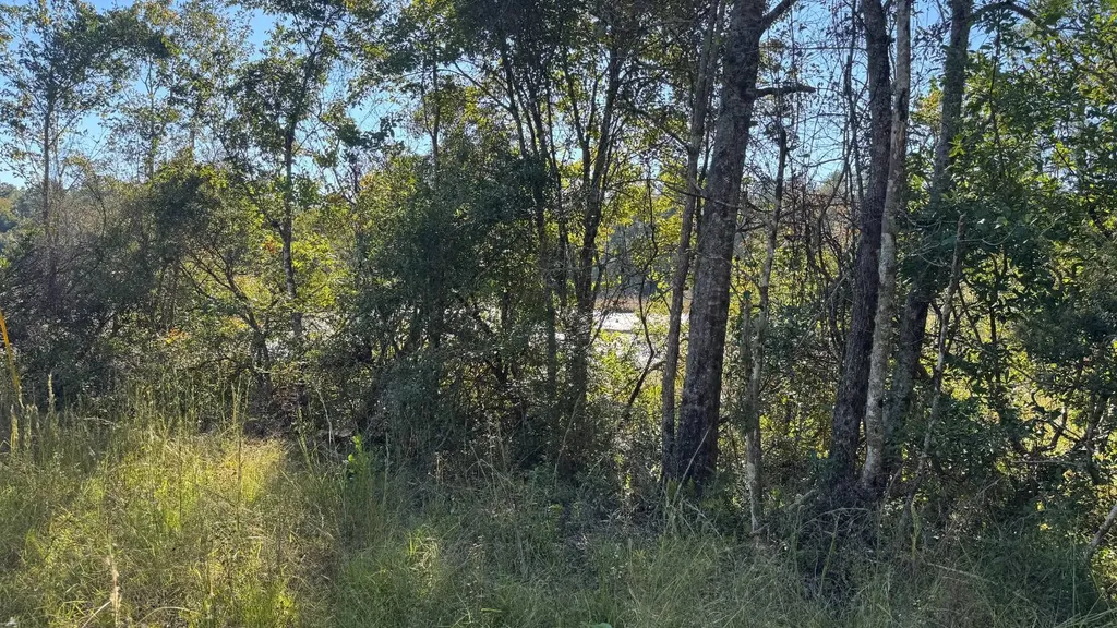 15570 Beaver Dam Road Citronelle AL 36522