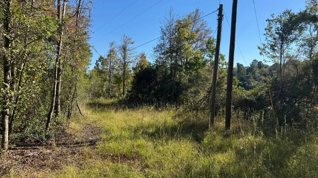 15570 Beaver Dam Road Citronelle AL 36522