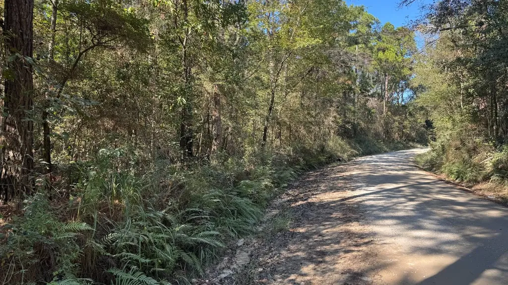 15570 Beaver Dam Road Citronelle AL 36522