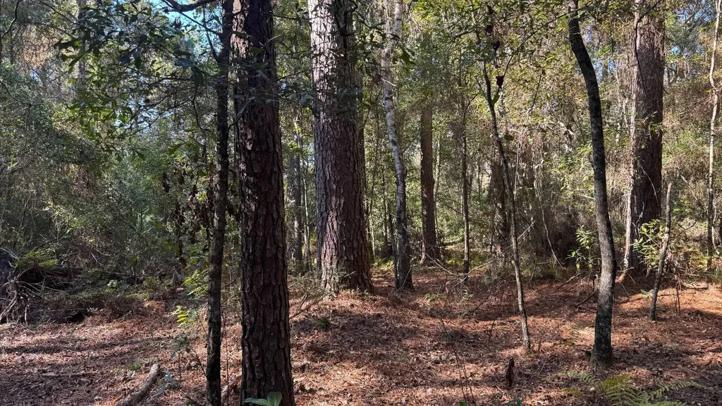 15570 Beaver Dam Road Citronelle AL 36522