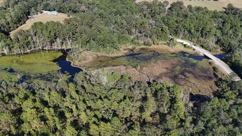 15570 Beaver Dam Road Citronelle AL 36522