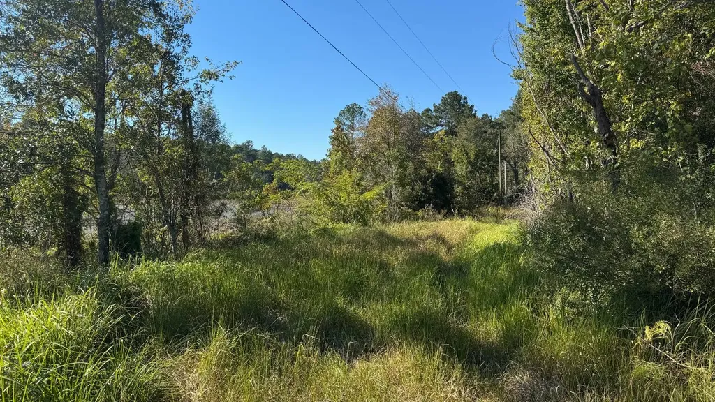 15570 Beaver Dam Road Citronelle AL 36522