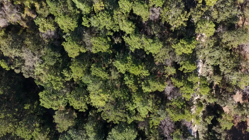 15570 Beaver Dam Road Citronelle AL 36522