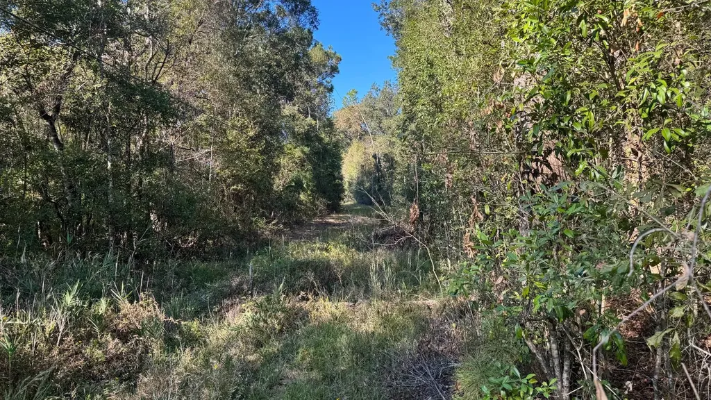 15570 Beaver Dam Road Citronelle AL 36522